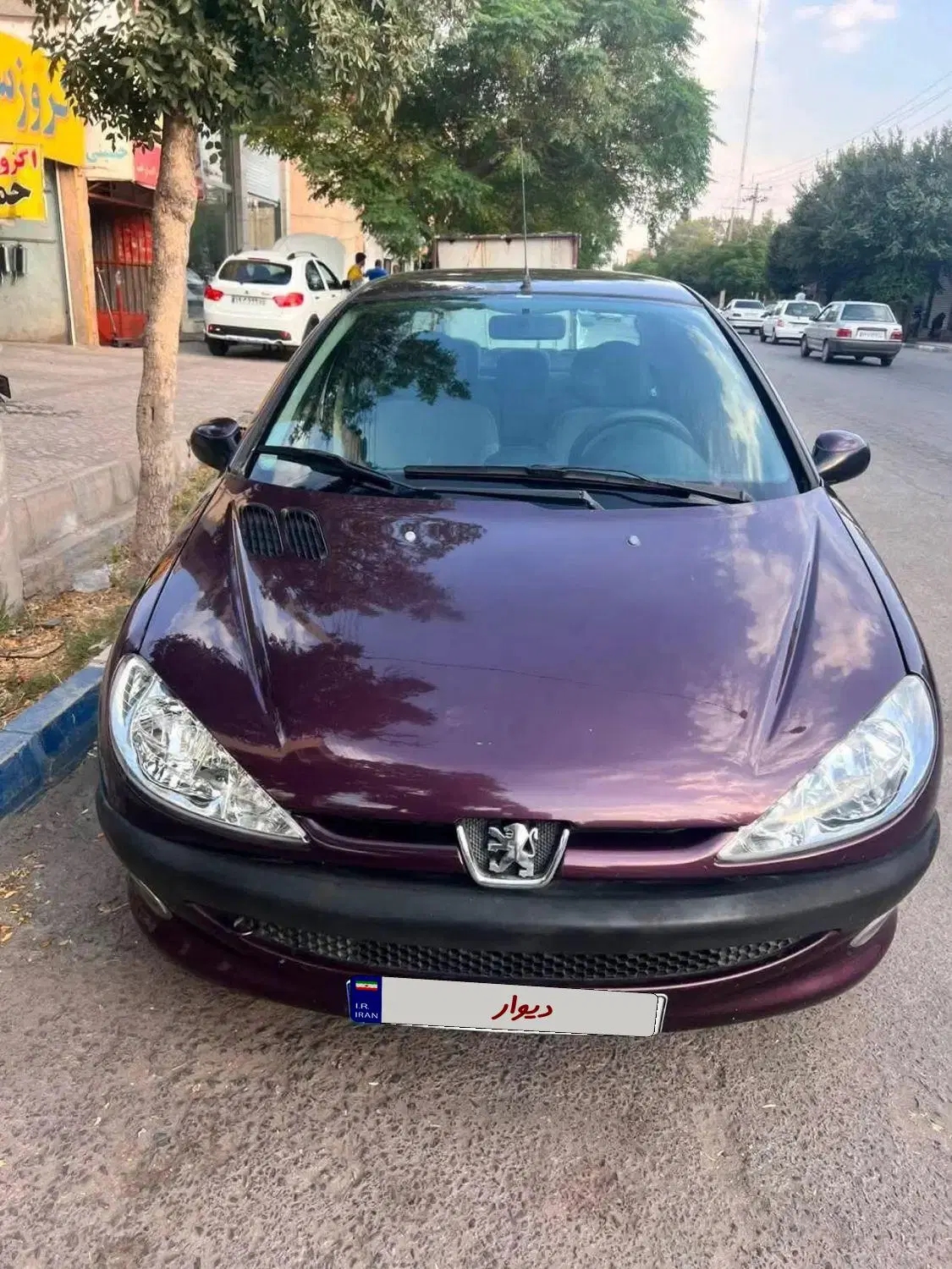 206 sd v8|خودرو سواری و وانت|کرمان, |دیوار