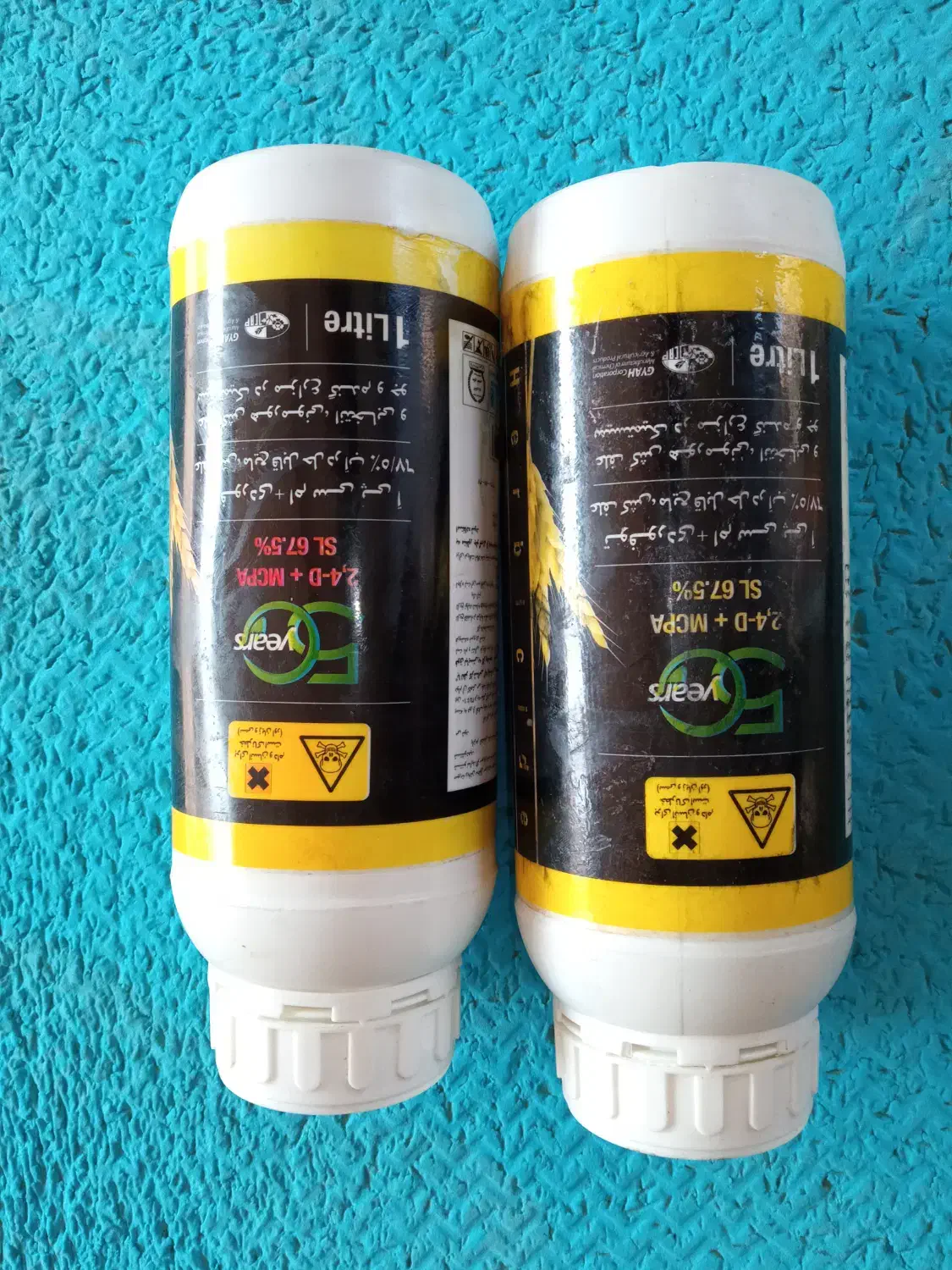 سم...|گل و گیاه طبیعی|شوش, |دیوار