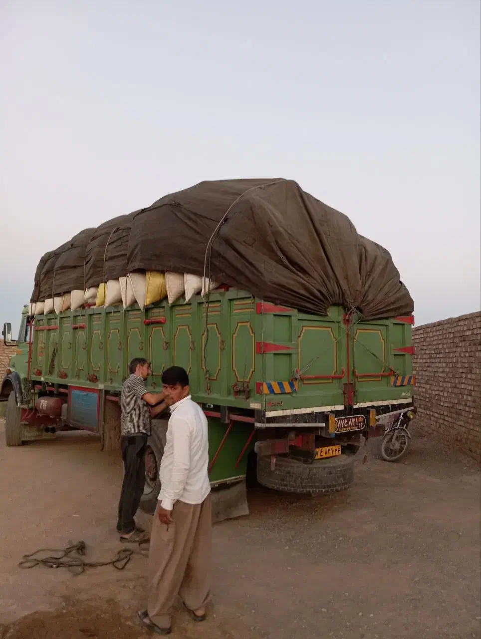 خار درجه یک  سبز نرم برای گوسفند بز شتر مرغ|لوازم جانبی حیوانات|رفسنجان, |دیوار