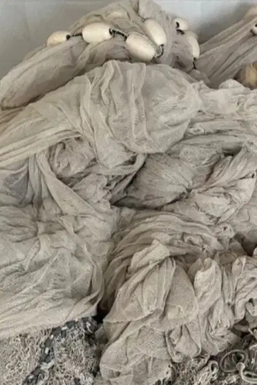 تور محاصره ای کاشخ موتوتا حشینه|ماهیگیری|بندرلنگه, |دیوار