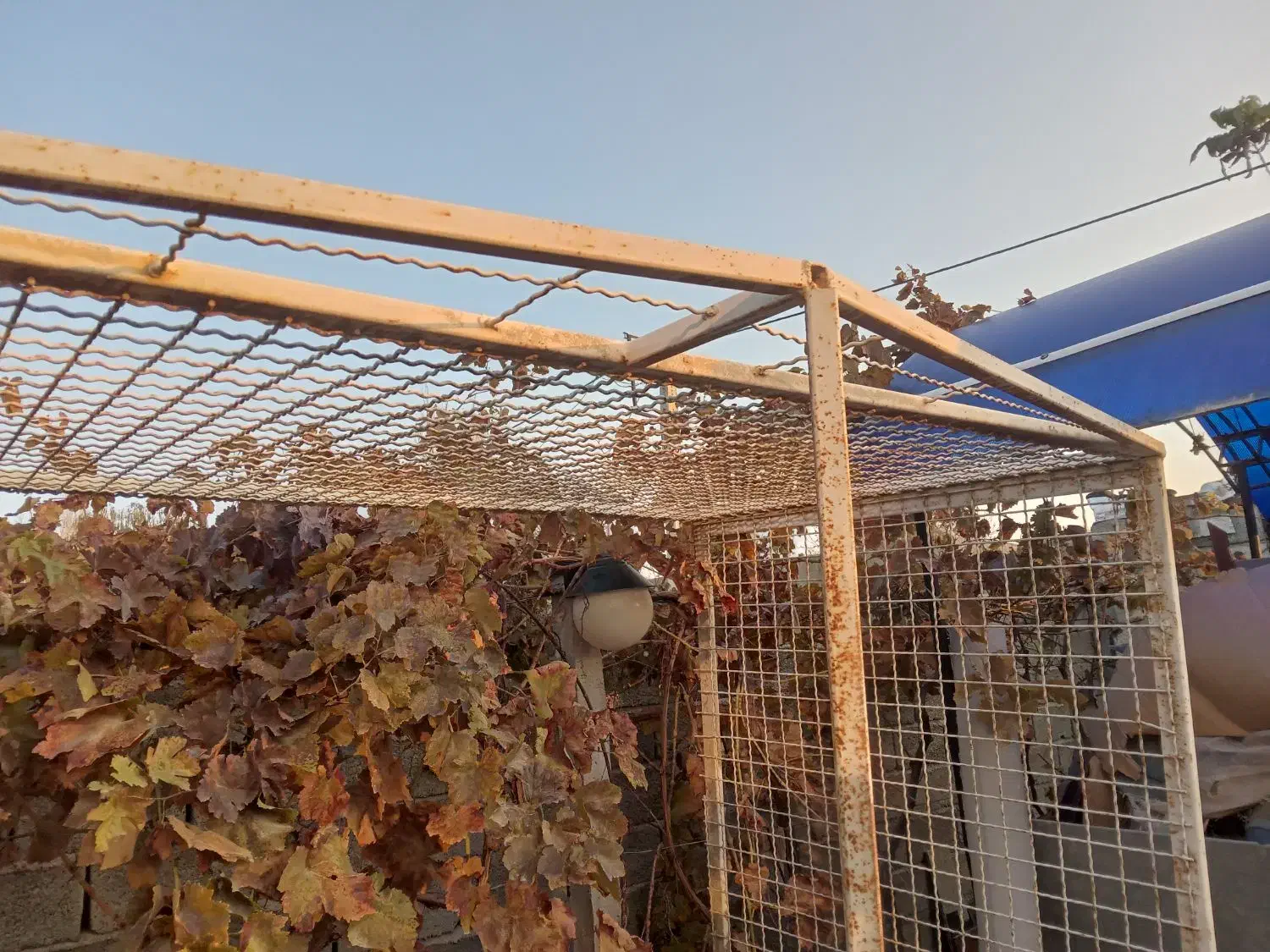 قفس بزرگ ۲×۲|لوازم جانبی حیوانات|ارومیه, |دیوار