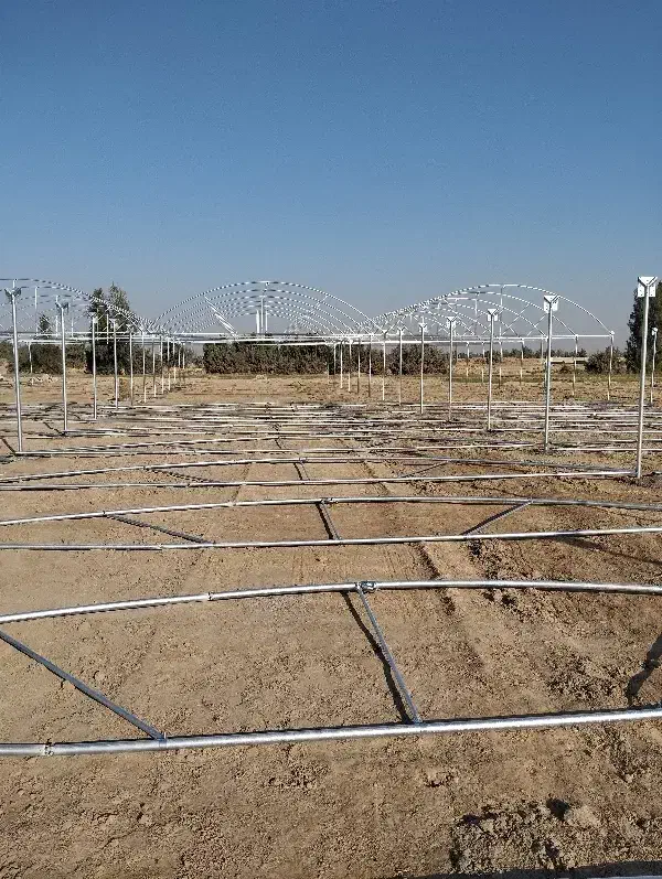 جوشکاری گلخانه|خدمات پیشه و مهارت|زهک, |دیوار