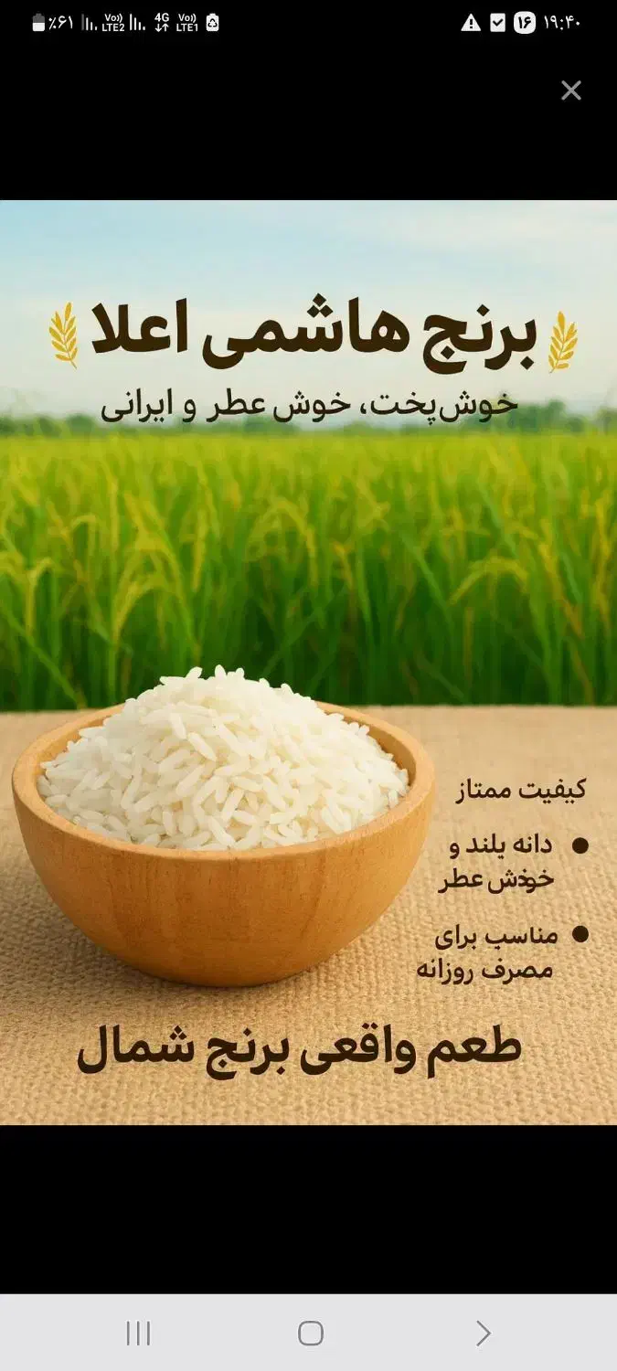 برنج هاشمی|خوردنی و آشامیدنی|تهران, شهرک ولیعصر جنوبی|دیوار