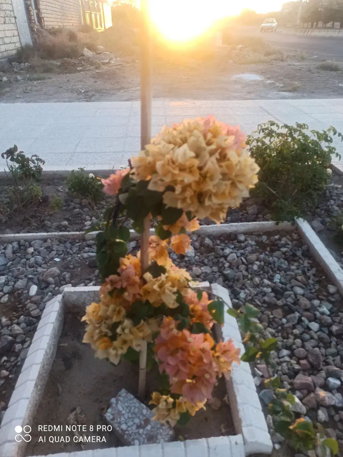 ۱۵۰ متری منطقه ویژه|اجارهٔ آپارتمان|سیرجان, |دیوار