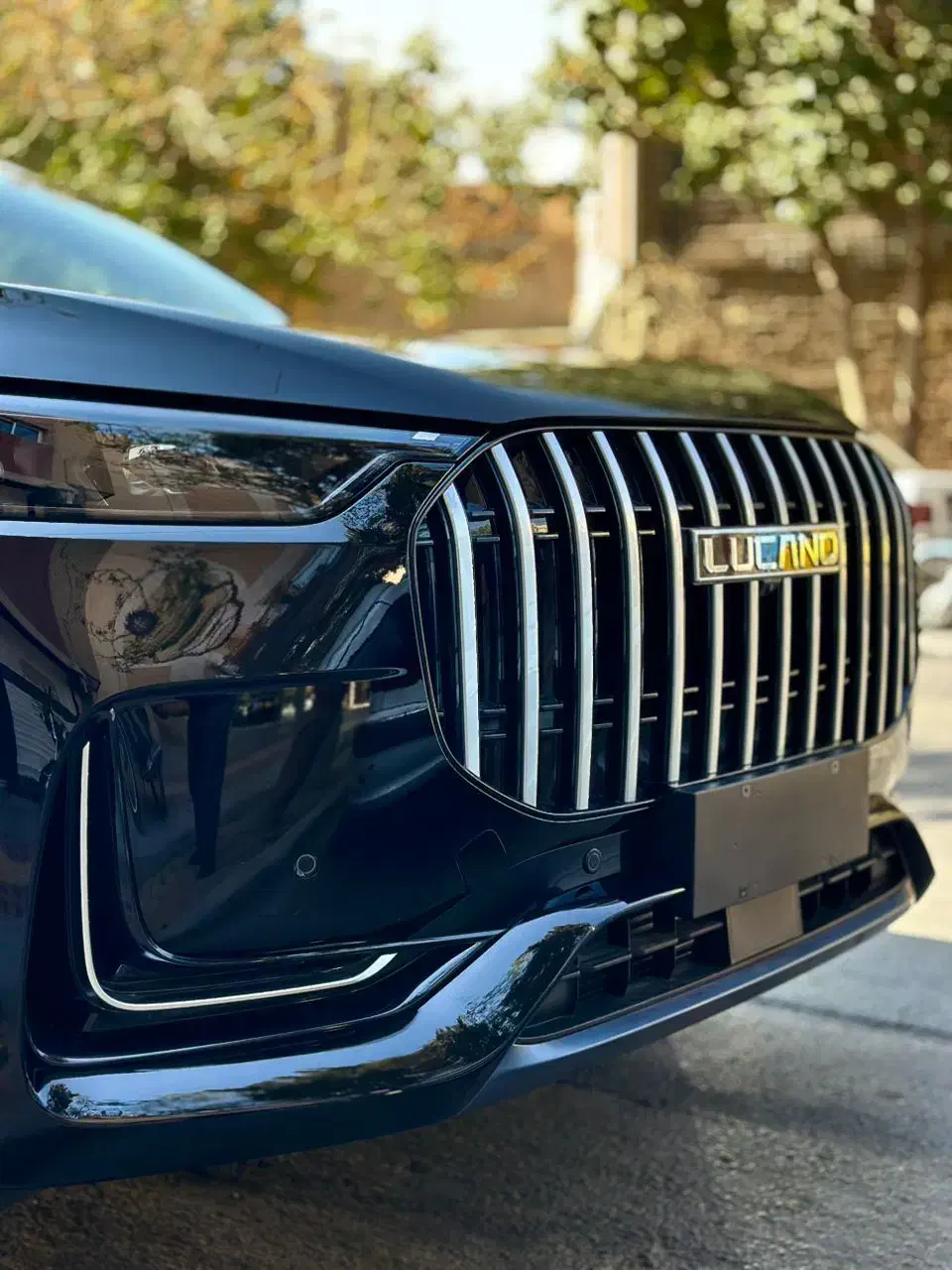 لوکانو l8 مدل ۲۰۲۵ خشک|خودرو سواری و وانت|اصفهان, پوریای ولی|دیوار