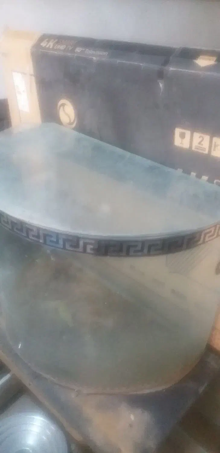 اکواریوم|ماهی|کرمانشاه, |دیوار