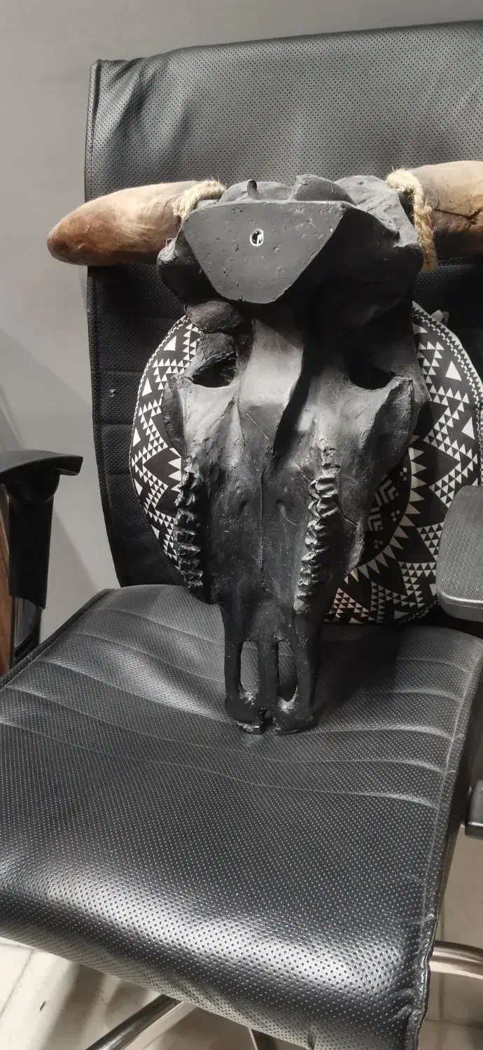 دیوارکوب جمجمه گاو|مجسمه، تندیس، ماکت|یزد, |دیوار