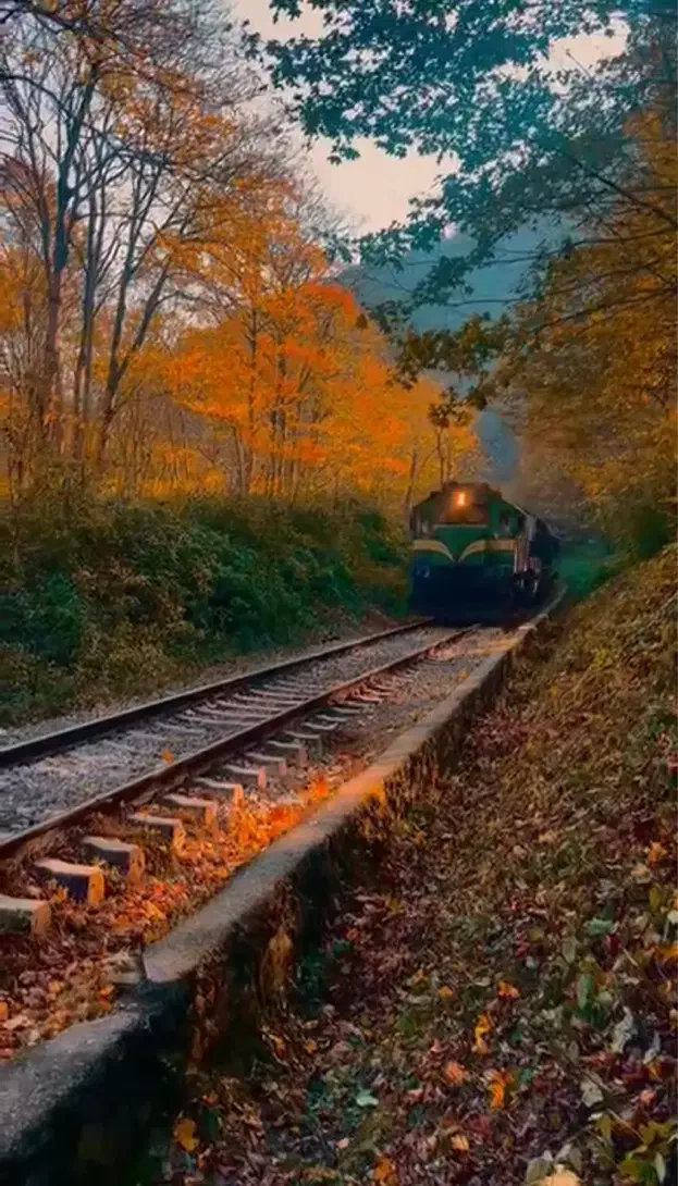 تور ۲ روزه ریلی سوادکوه|تور و چارتر|تهران, افسریه جنوبی|دیوار