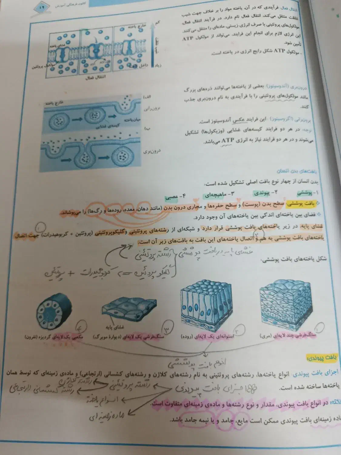 کتاب کار زیست شناسی دهم|کتاب و مجله آموزشی|مشهد, شهید هاشمی نژاد|دیوار