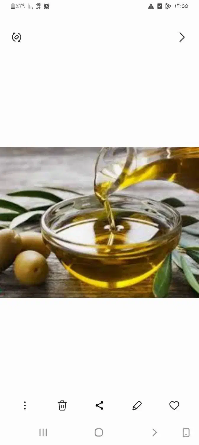 روغن زیتون اصل درجه یک|خوردنی و آشامیدنی|رودبار, |دیوار