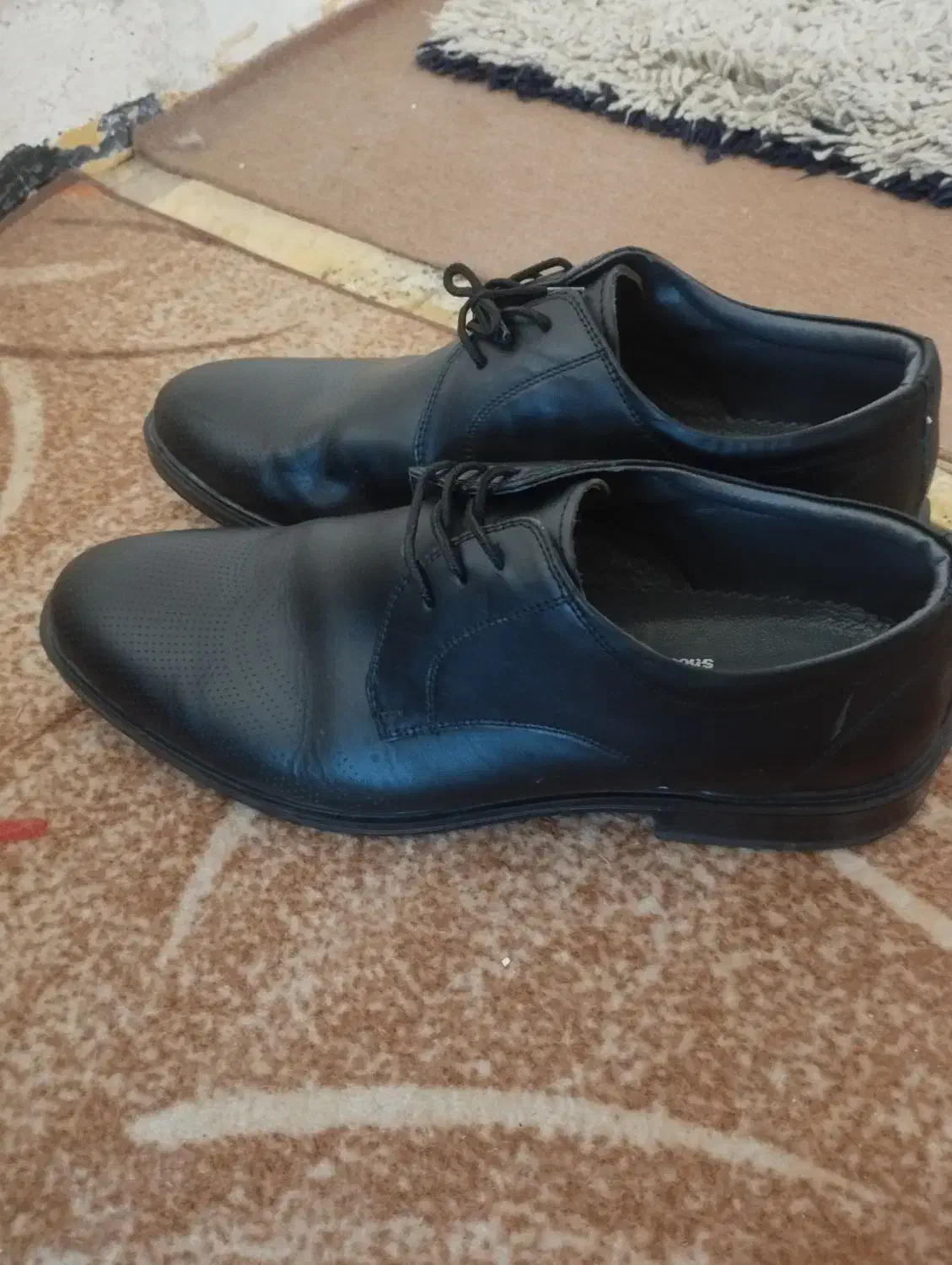 کفش اسپرت و مجلسی|کیف، کفش، کمربند|شیراز, تپه تلویزیون|دیوار