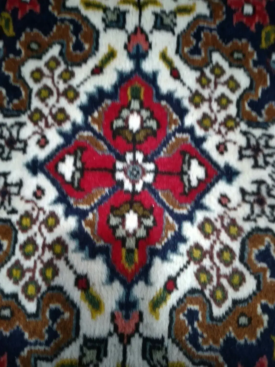 تک ۶متری کرمان قلم درحدنو|فرش|مراغه, |دیوار