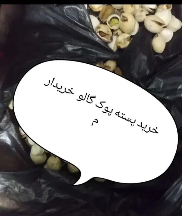 خرید پسته پوک . پیتو.گالو..|خدمات باغبانی و درختکاری|زرند, |دیوار