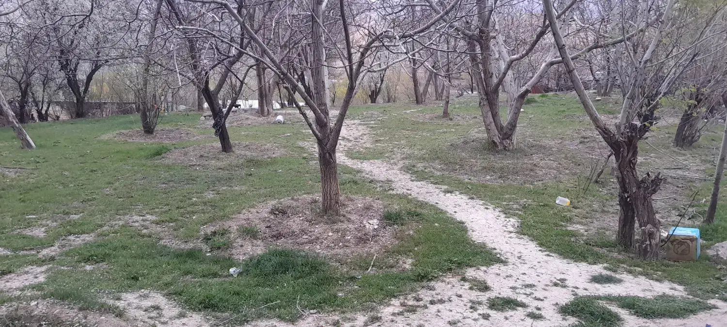 زمین مسکونی|فروش زمین و ملک کلنگی|بلداجی, |دیوار