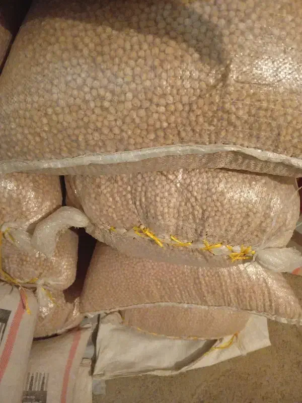 نخود گکسو|عمده‌فروشی|جوانرود, |دیوار