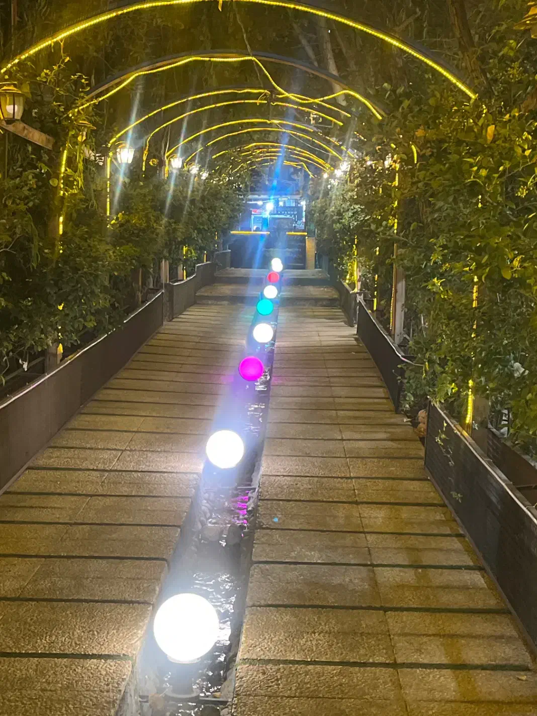 ویتر و سالنکار|استخدام خدمات فروشگاه و رستوران|تهران, شهرک نفت|دیوار