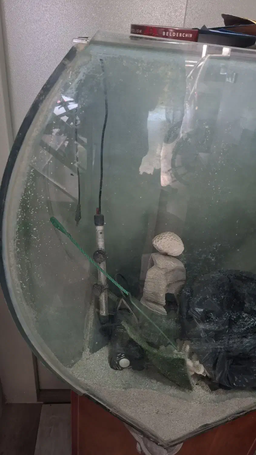 آکواریوم|ماهی|اصفهان, خواجو|دیوار