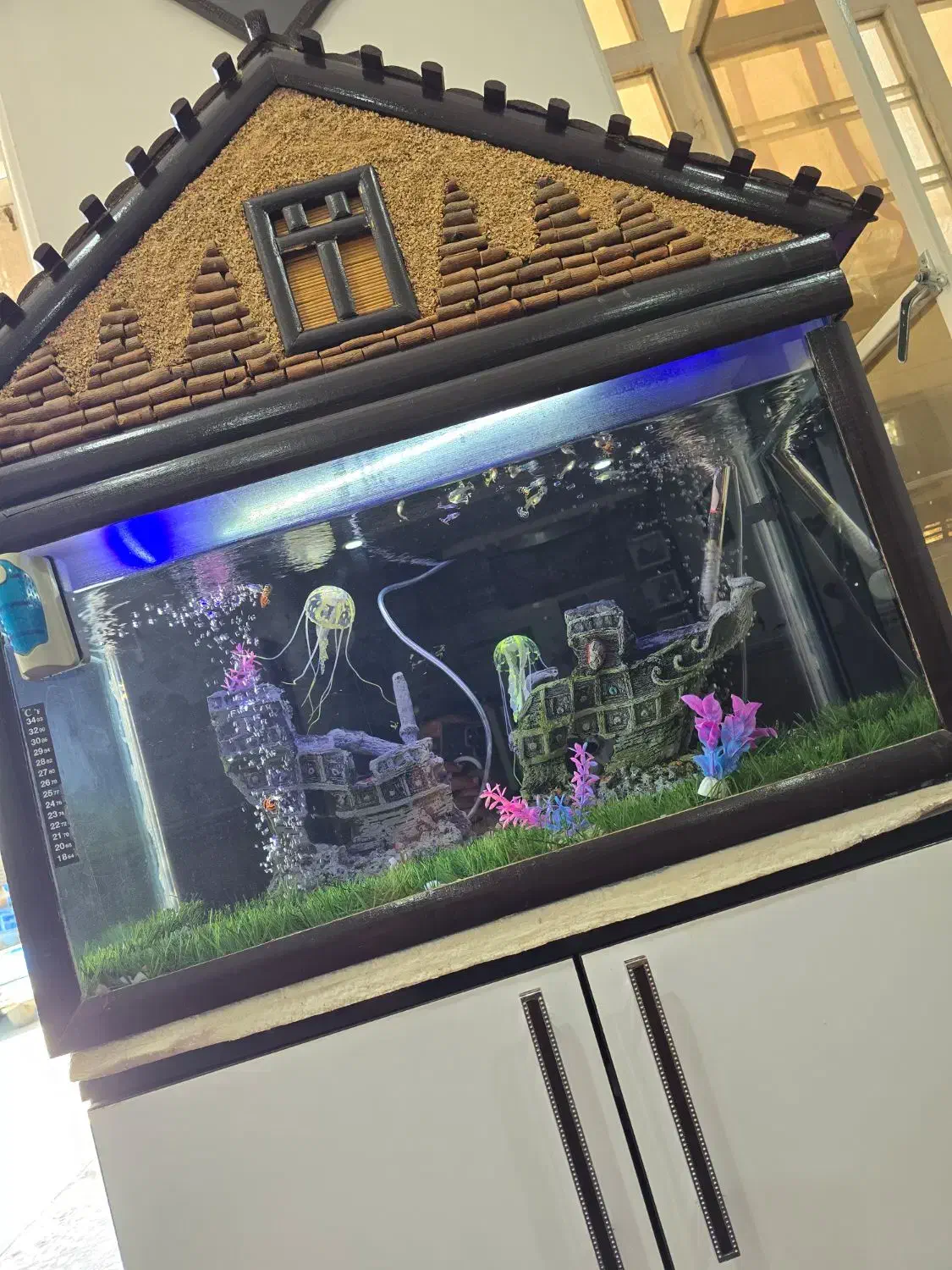 آکواریوم بسیار زیبا|ماهی|کوار, |دیوار