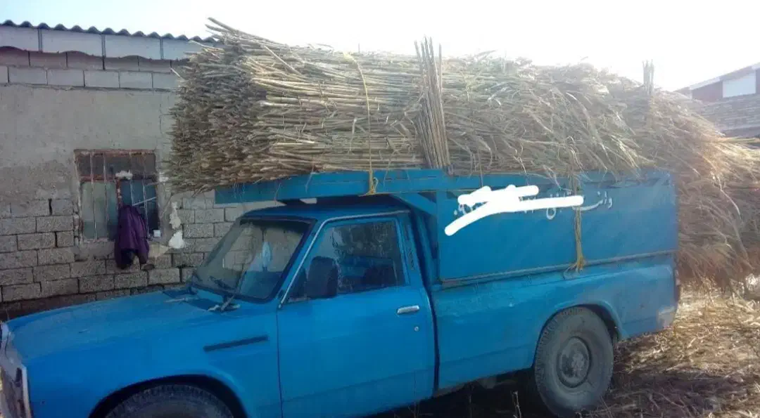 فروش نی درخدمتم ، توافقی|مصالح و تجهیزات ساختمان|گنبد کاووس, |دیوار