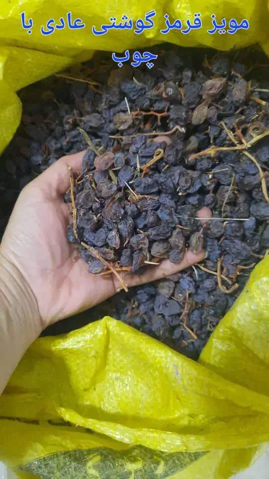 مویز و کشمش|خوردنی و آشامیدنی|شیراز, حومه شیراز|دیوار