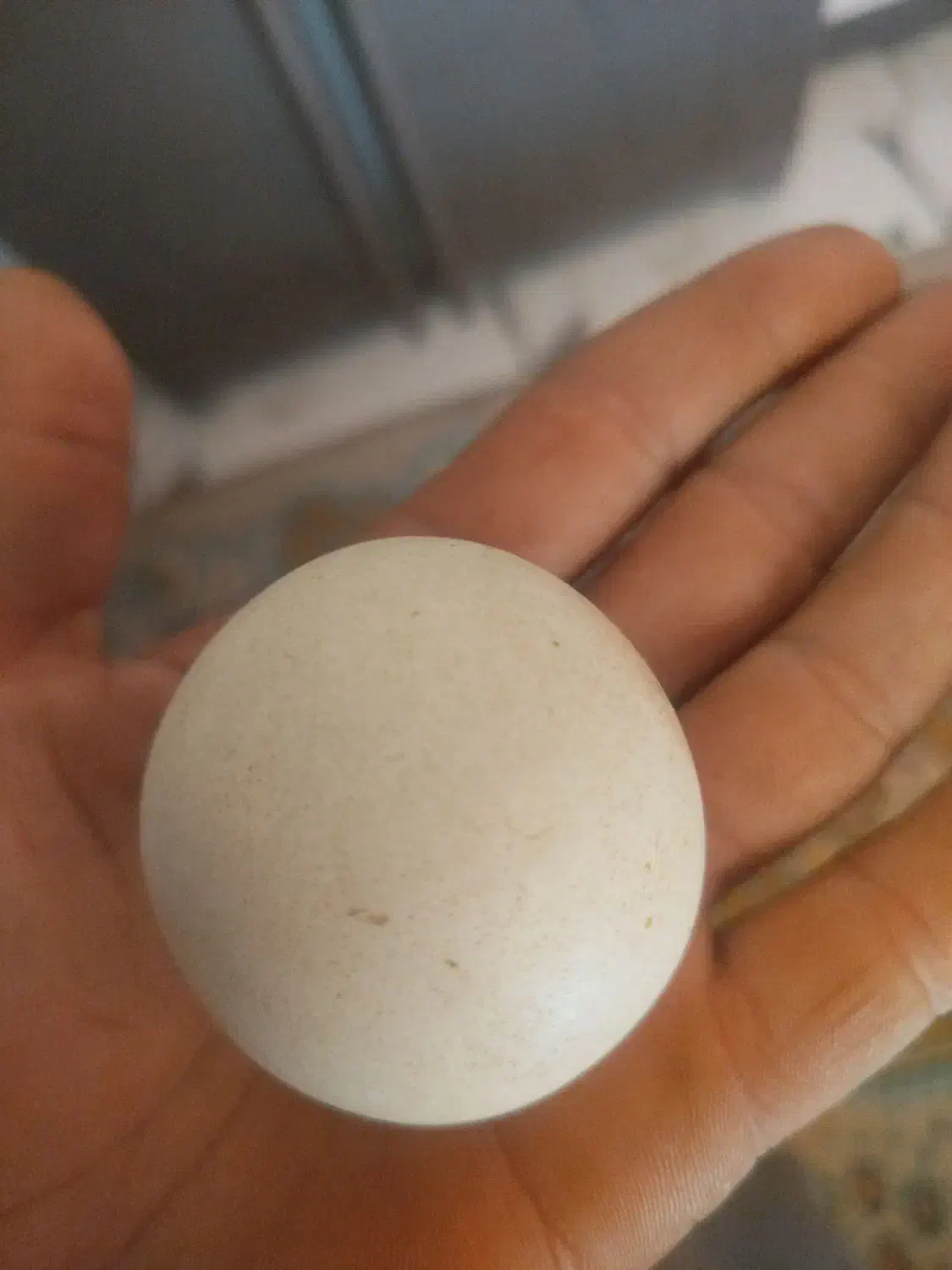 سنگ آسیاب فروشی|کلکسیون اشیاء عتیقه|خرمدشت, |دیوار