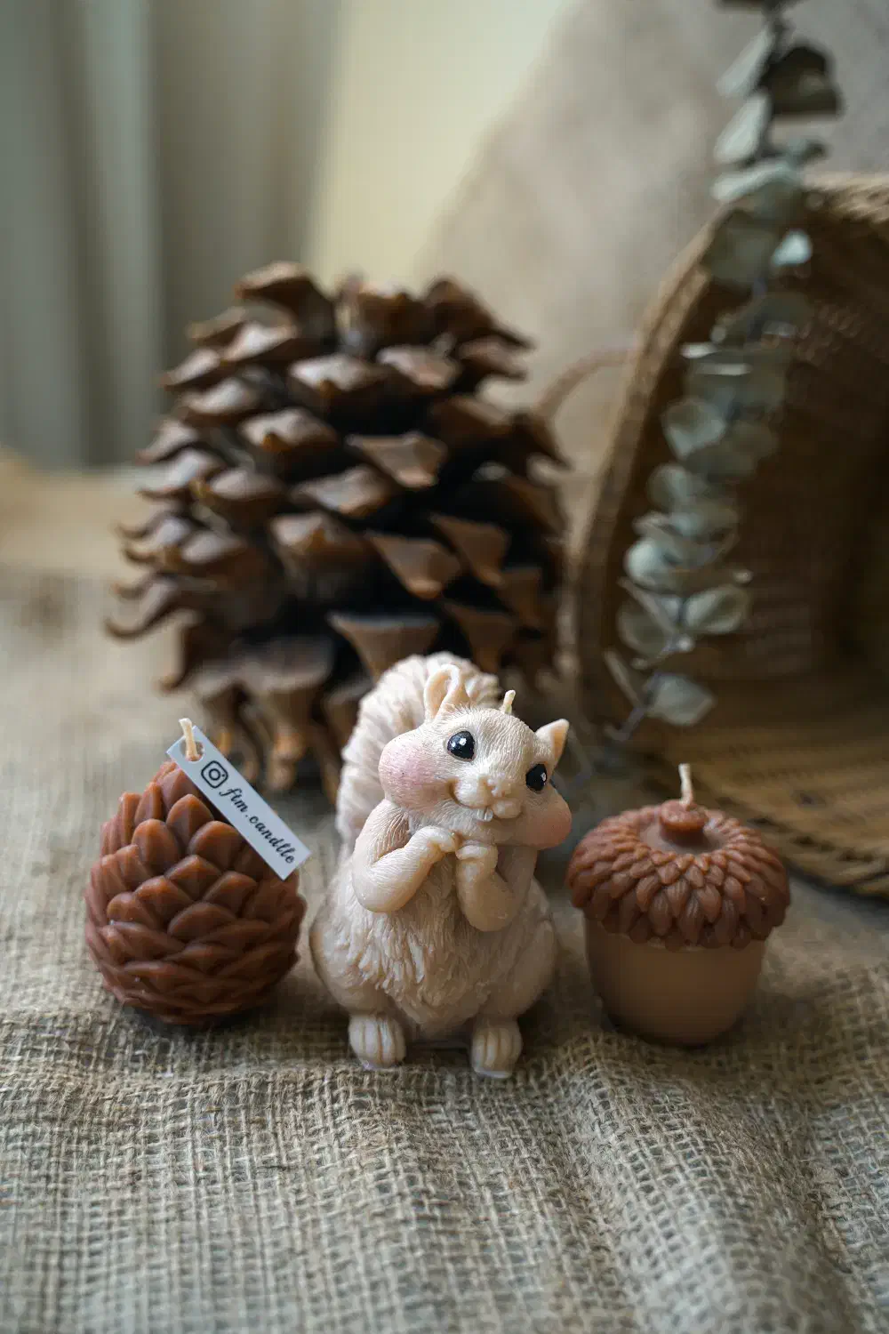 شمع تزئینی سنجاب،بلوط،کاج|صنایع دستی و سایر لوازم تزئینی|کرج, حصارک بالا|دیوار