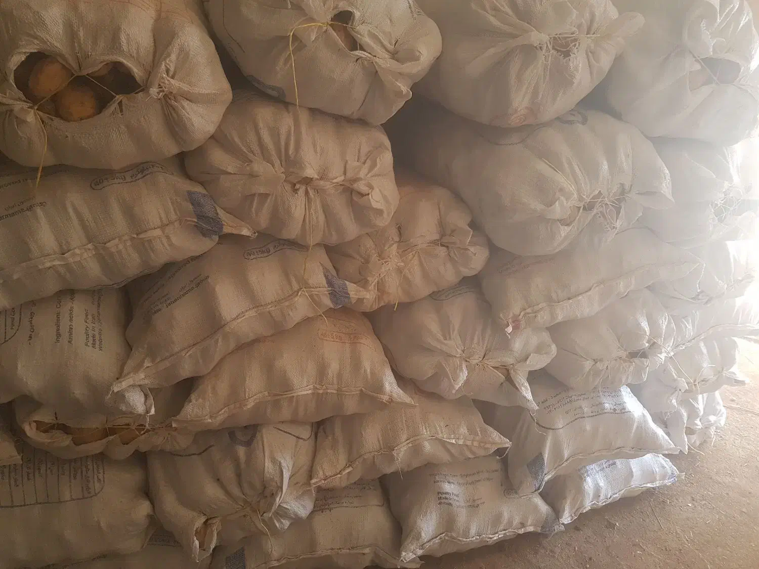 سیب خاکی|عمدهفروشی|دوتپه, |دیوار