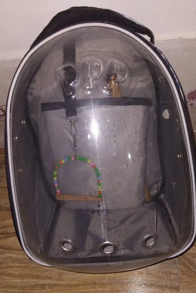 باکس حمل حیوانات ....|لوازم جانبی حیوانات|لاهیجان, شیشه گران|دیوار