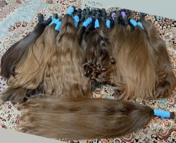 خریدار مو|آرایشگاه و سالن‌های زیبایی|نورآباد, |دیوار