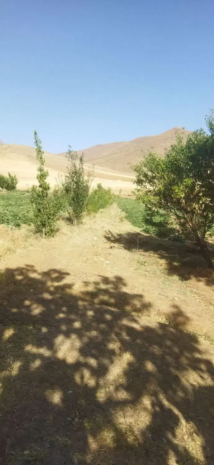 زمینکشاورزی|فروش دفتر صنعتی، کشاورزی، تجاری|باوله, |دیوار