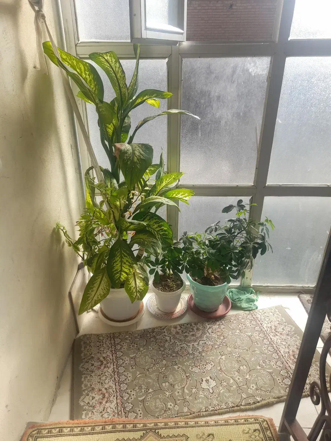 وسایل منزل|حراج|جوانرود, |دیوار