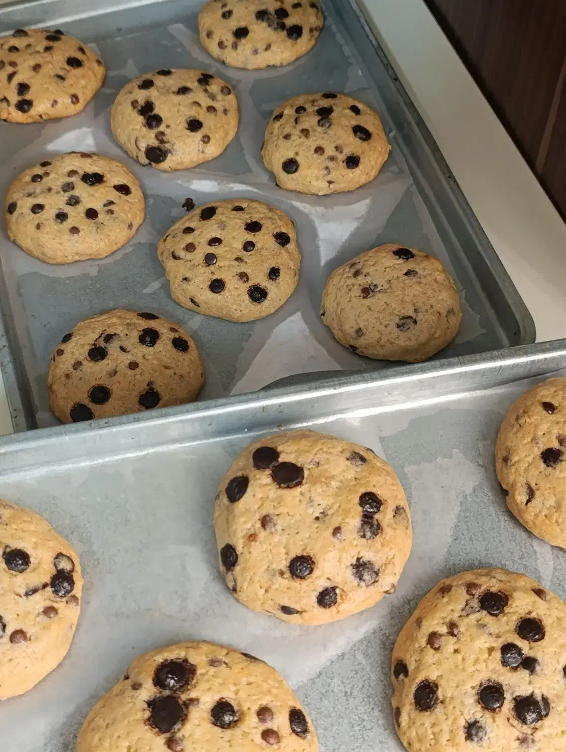 کوکی و کیک خونگی|خوردنی و آشامیدنی|رودبنه, |دیوار