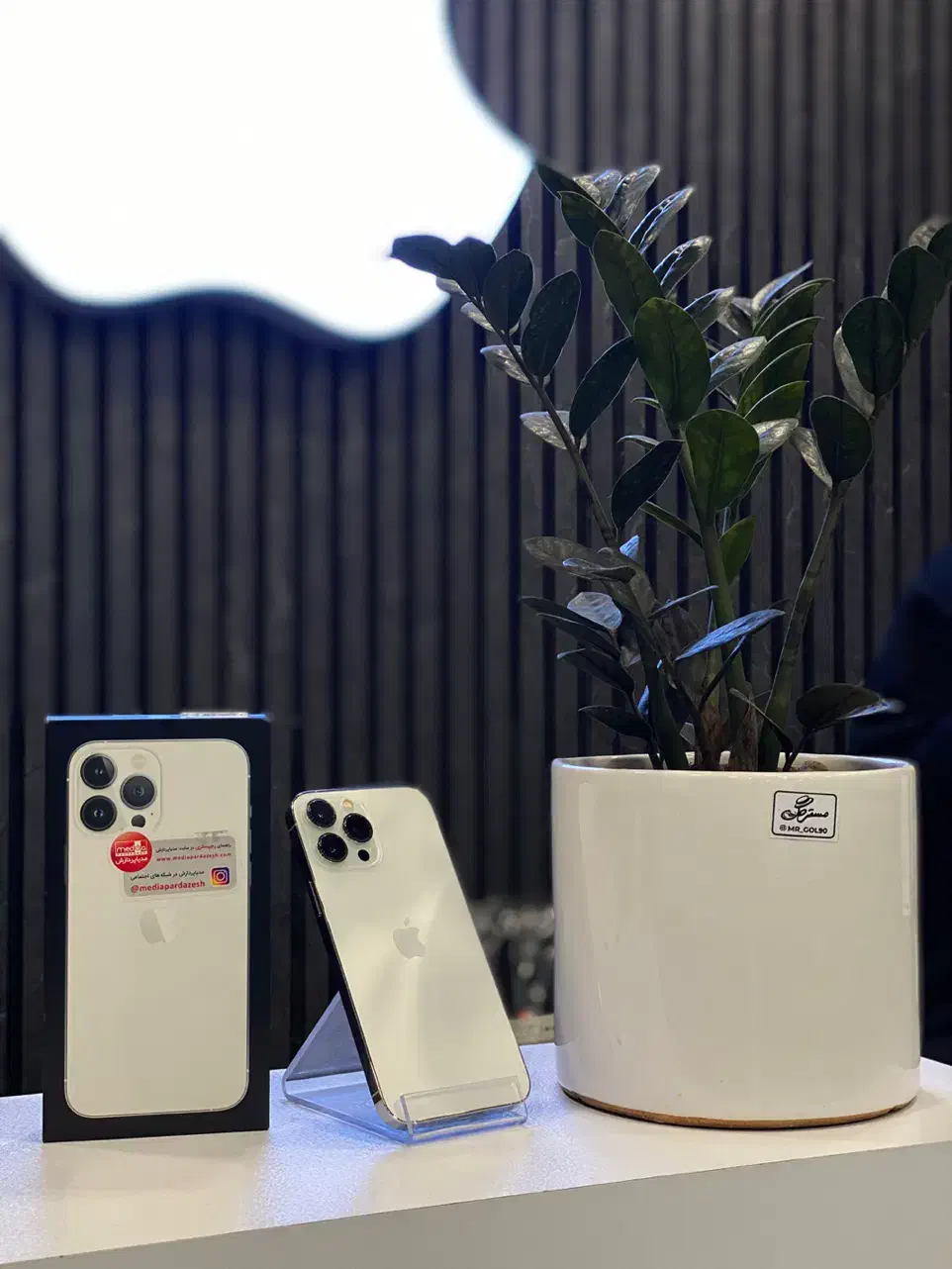 iPhone 13 Pro Max 256 Zaa از دم قسط و نقدی|موبایل|کرج, مهرویلا جنوبی|دیوار