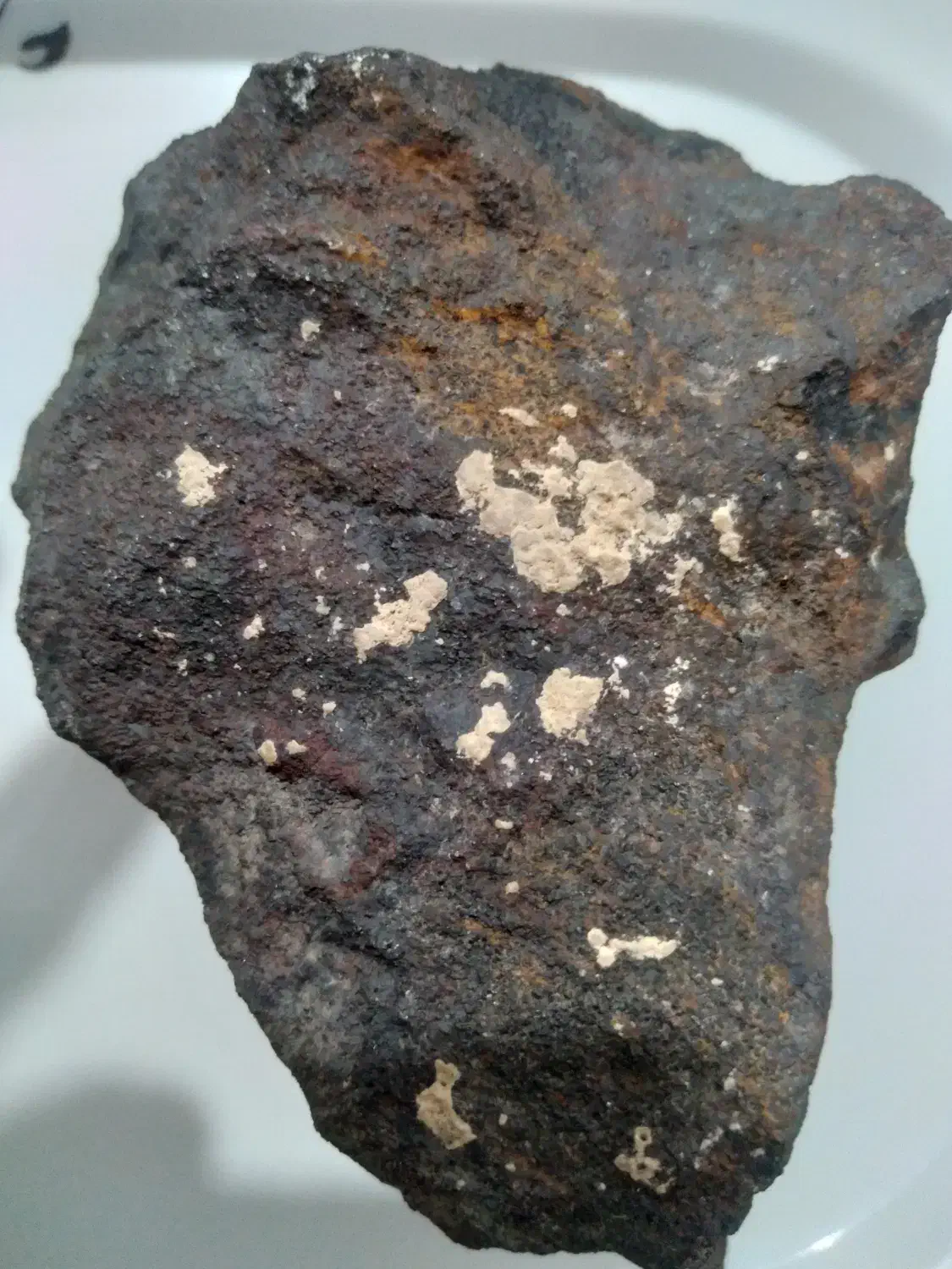 شهاب سنگ|کلکسیون اشیاء عتیقه|داراب, |دیوار