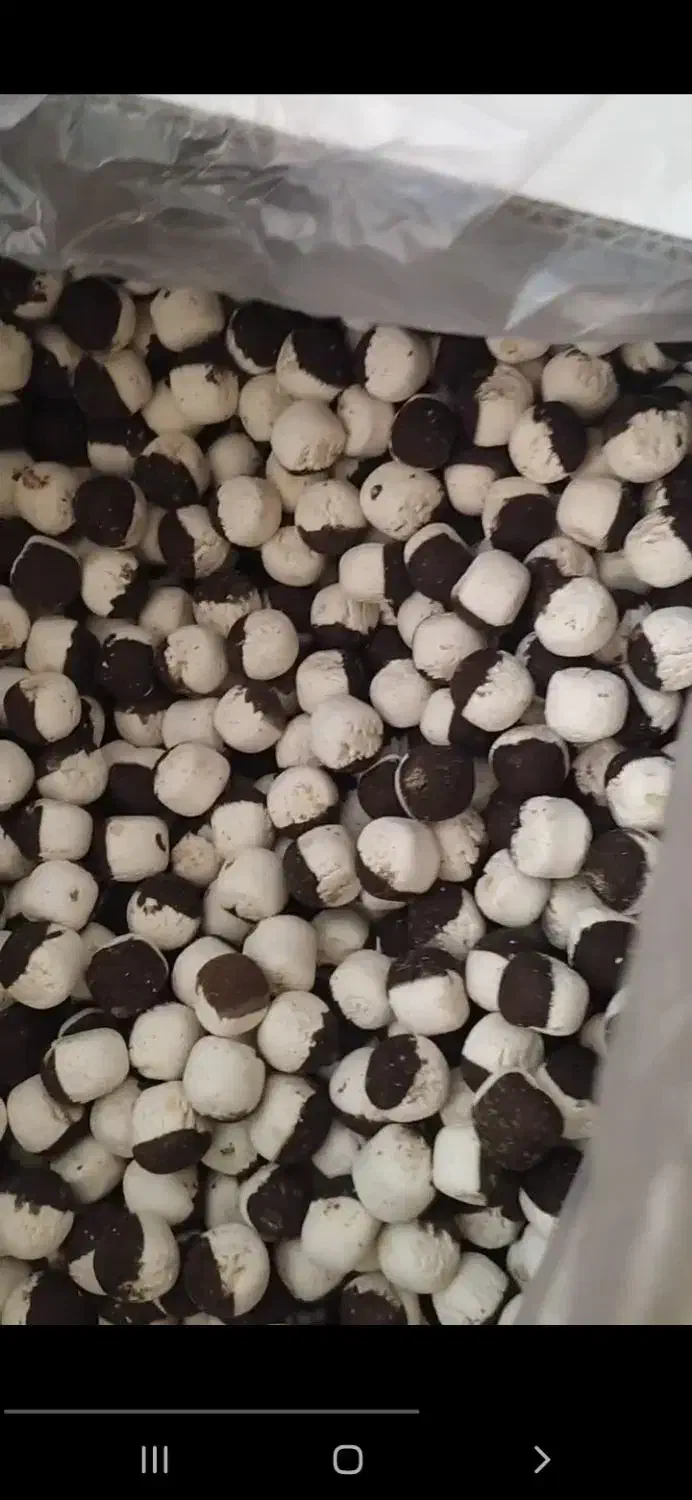 کشک چیپسی رشته دورنگ مشتی زیره دار ساده طعم دار|عمدهفروشی|بیرجند, |دیوار