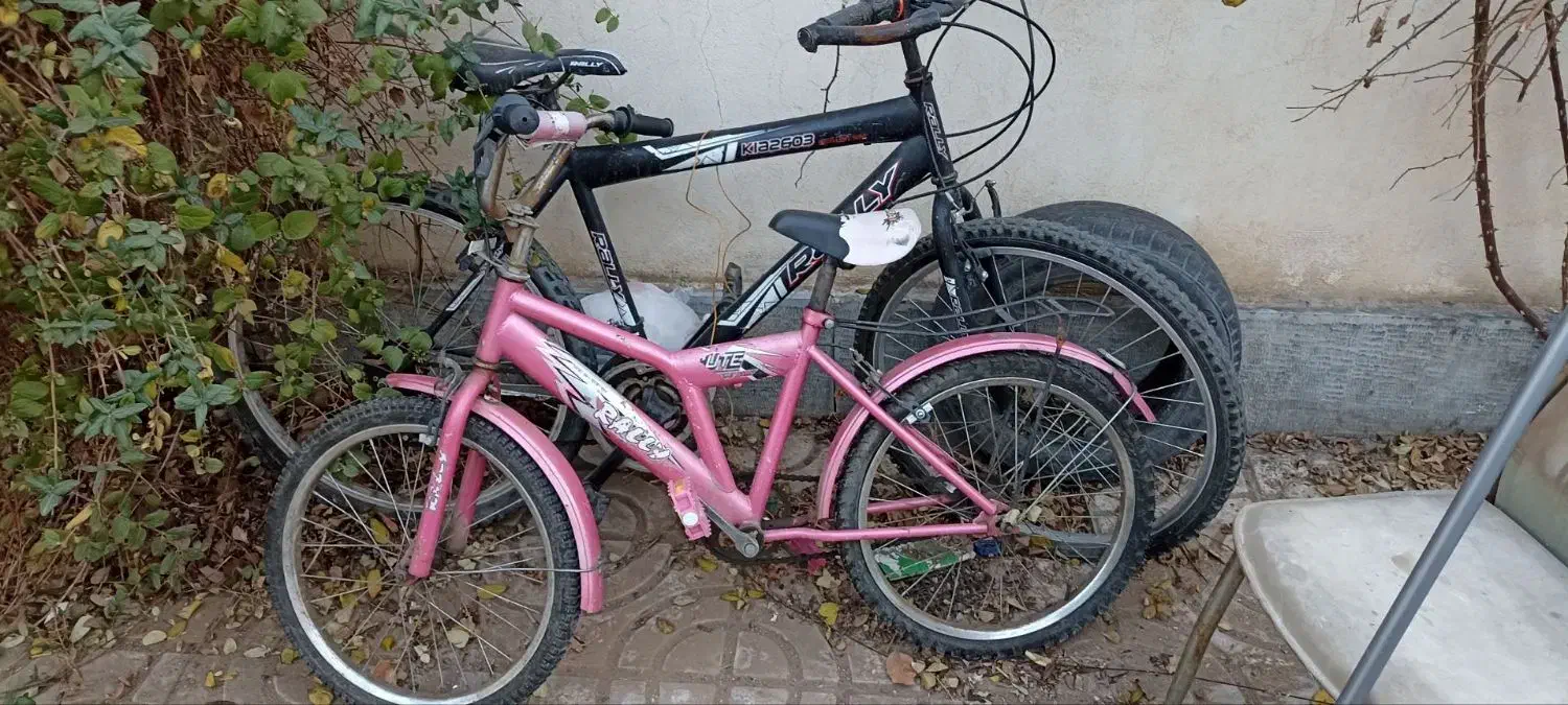 دوچرخه ۲۰ دخترانه|دوچرخه، اسکیت، اسکوتر|گلبهار, شهر جدید گلبهار|دیوار