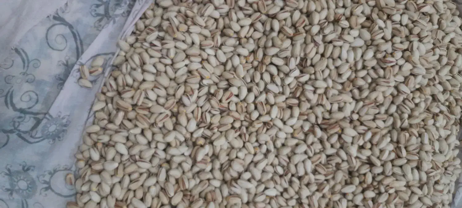 پسته خشک|خوردنی و آشامیدنی|سده (خراسان جنوبی), |دیوار