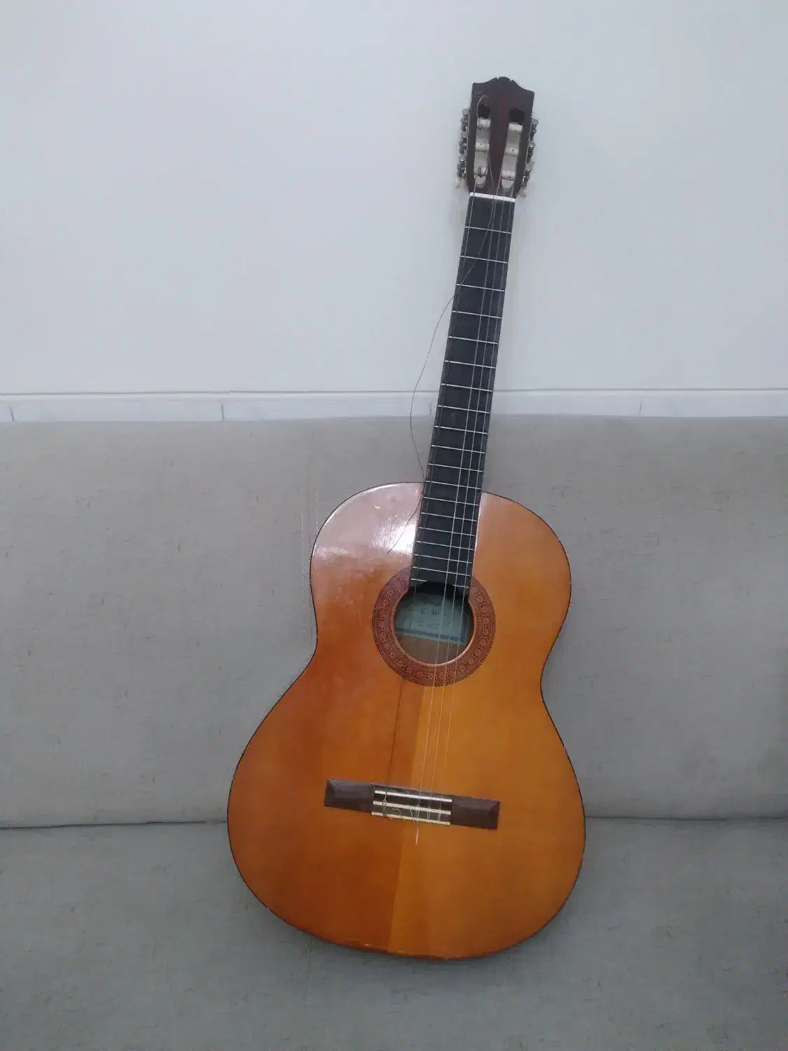 گیتار|گیتار، بیس، امپلیفایر|تهران, باغ فیض|دیوار