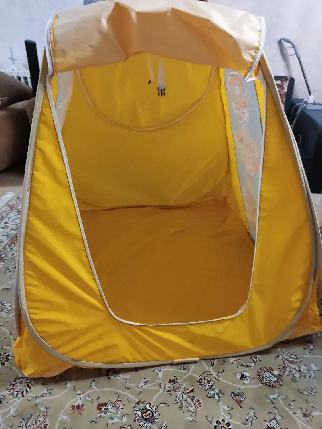 چادر مسافرتی و چتر بچگانه|کوهنوردی و کمپینگ|رشت, معلم|دیوار