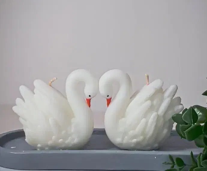 (قو تنها پرنده هست که عاشق میشود و وفادارمیماند)|صنایع دستی و سایر لوازم تزئینی|کرمان, |دیوار