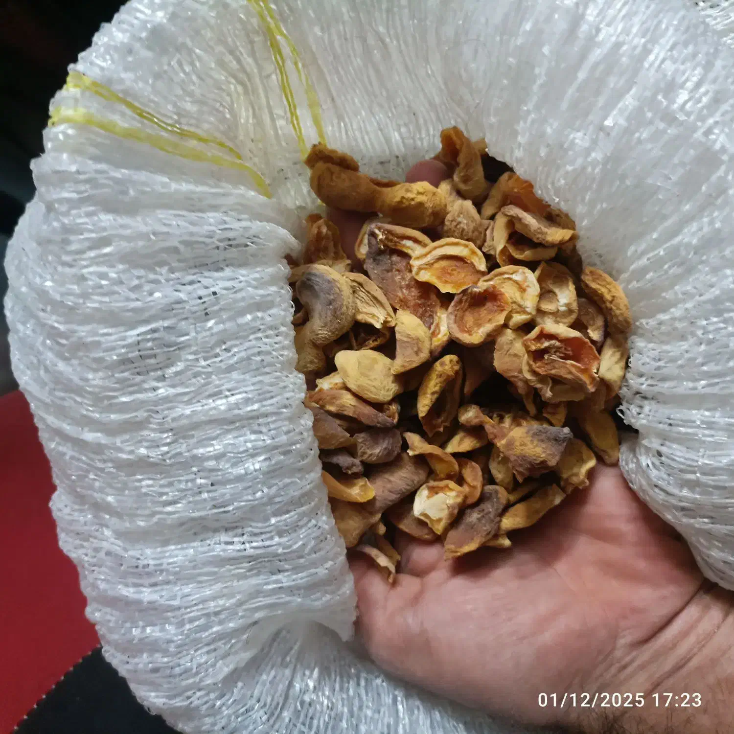 پره زردالو امسالی|عمدهفروشی|یزد, |دیوار