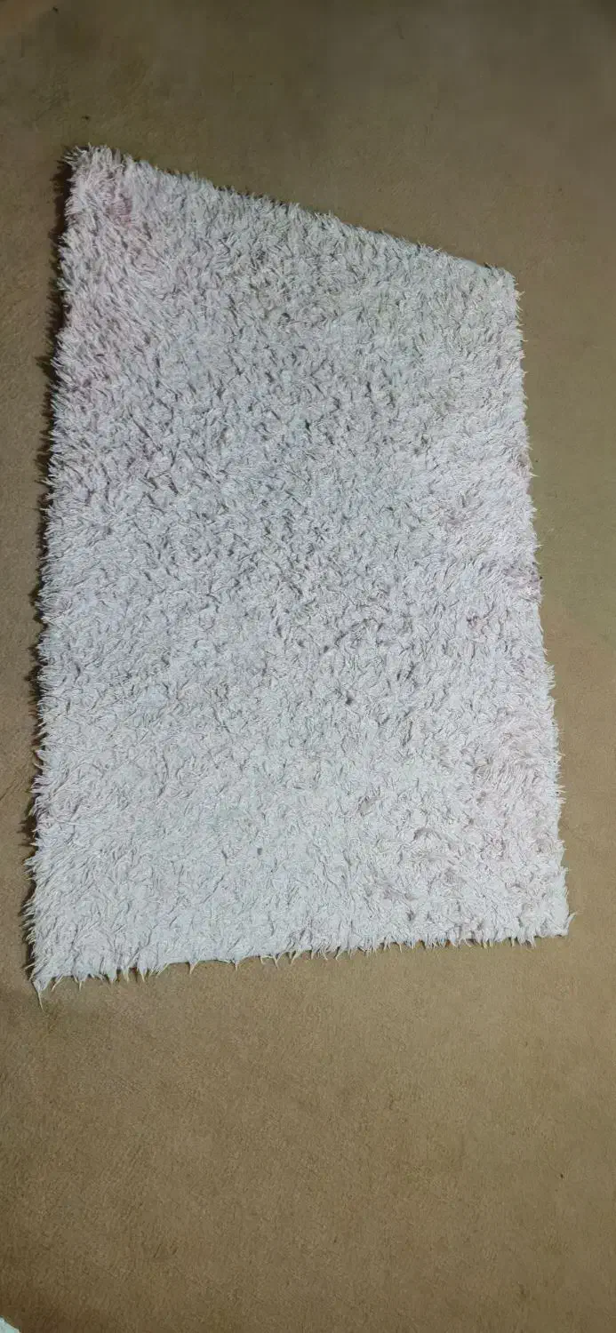 فرش شاگی صورتی|فرش|بندر انزلی, آخرخط|دیوار