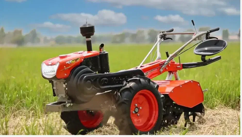 تیلرزنی/هرس/خدمات کشاورزی|خدمات باغبانی و درختکاری|آبسرد, |دیوار