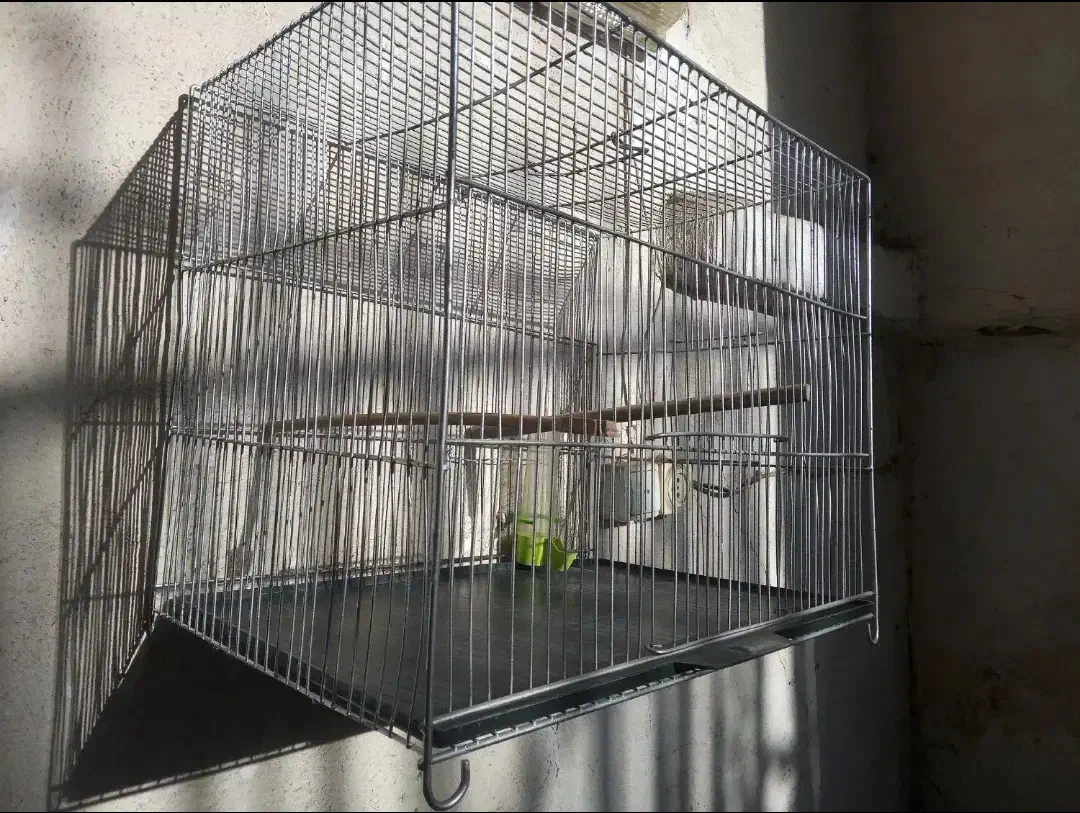 دو عدد قفس قناری تعویض و فروش|لوازم جانبی حیوانات|محمدیه-قزوین, |دیوار