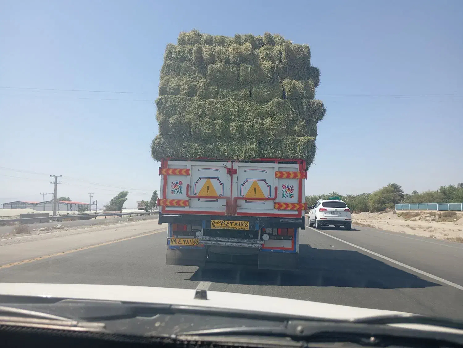 بیده خشک خشک بردسیری|حیوانات مزرعه|راور, |دیوار
