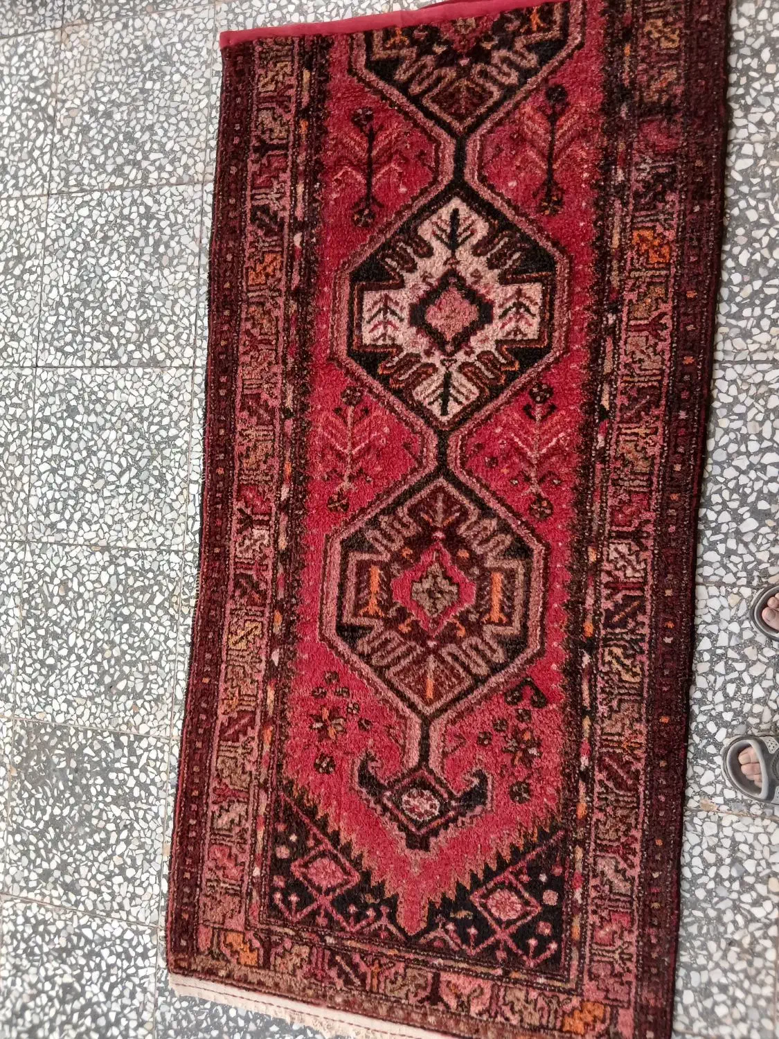 سه عدد فرش دست باف|فرش|بوئین زهرا, |دیوار