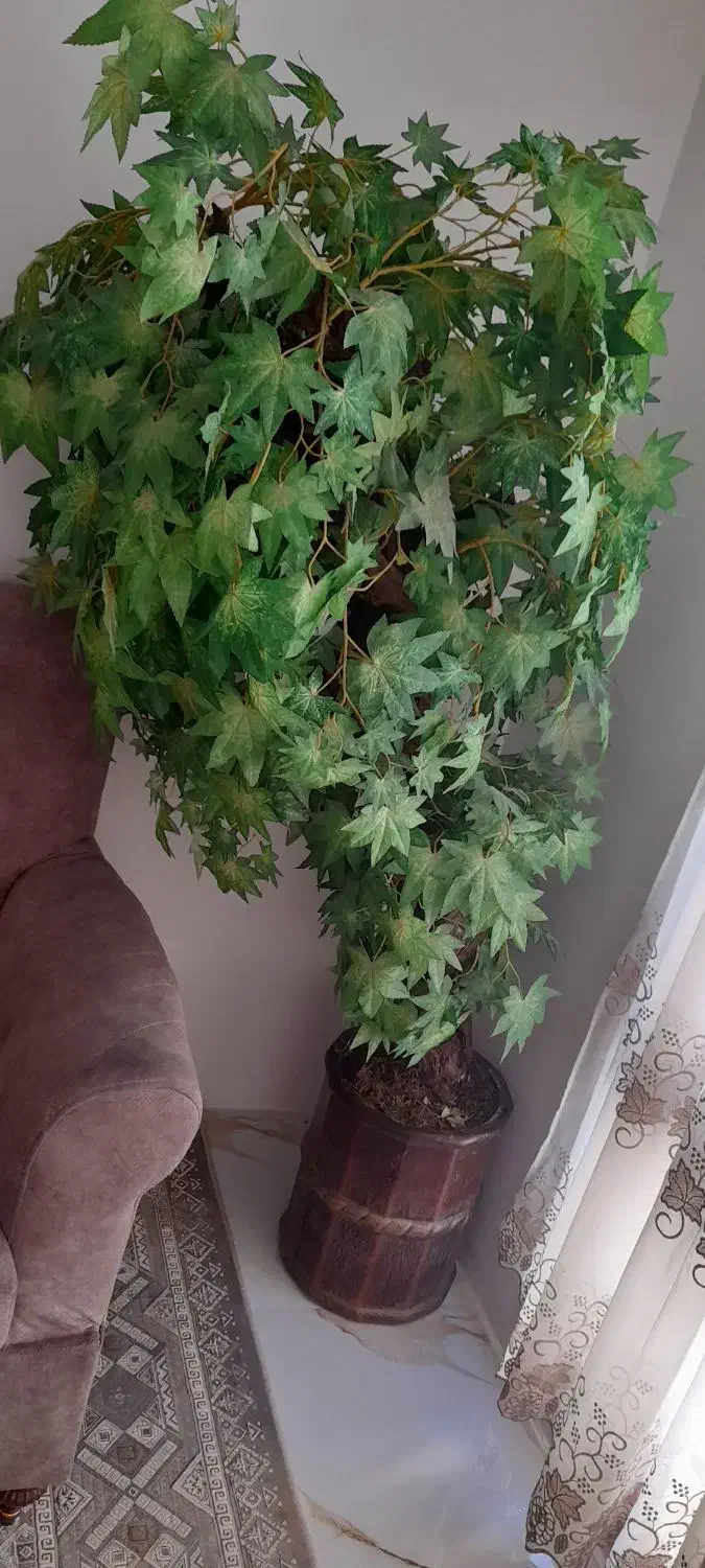 گل مصنوعی|گل مصنوعی|مشهد, طبرسی شمالی|دیوار