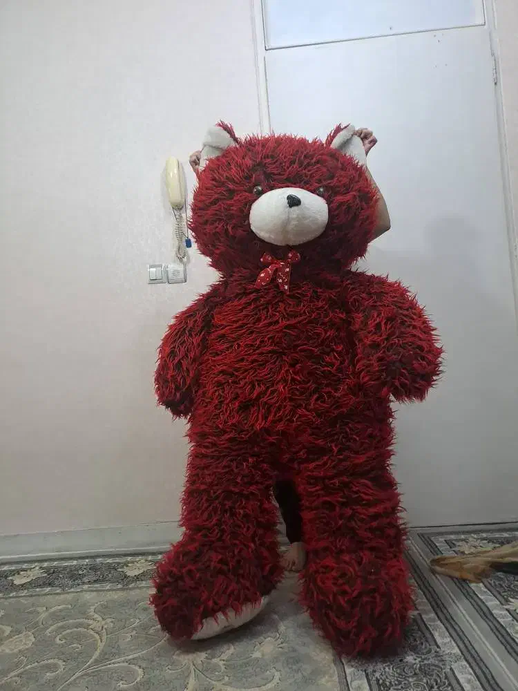 شاسخین|اسباب‌‌بازی|تهران, بیسیم|دیوار