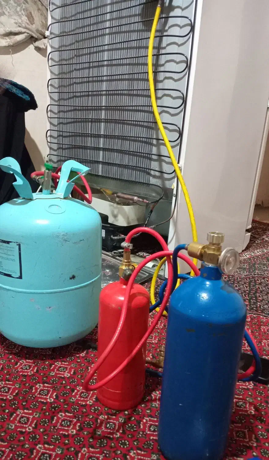 تعمیرات تخصصی یخچال شارژگاز|خدمات پیشه و مهارت|سرخنکلاته, |دیوار