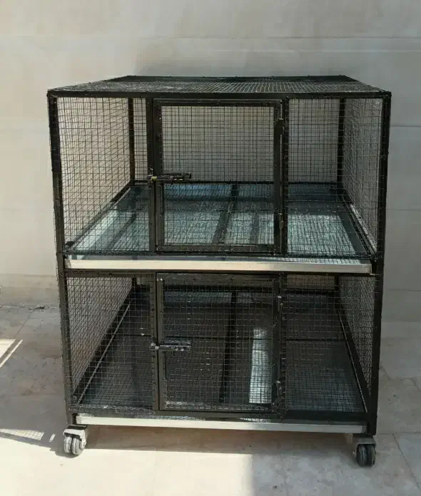 فروش قفس دو طبقه|لوازم جانبی حیوانات|خوی, |دیوار